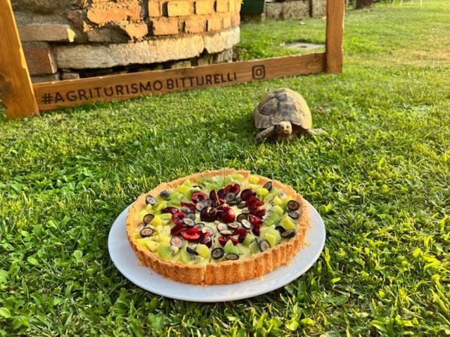 Agriturismo Bitturelli Ponti sul Mincio Kültér fotó