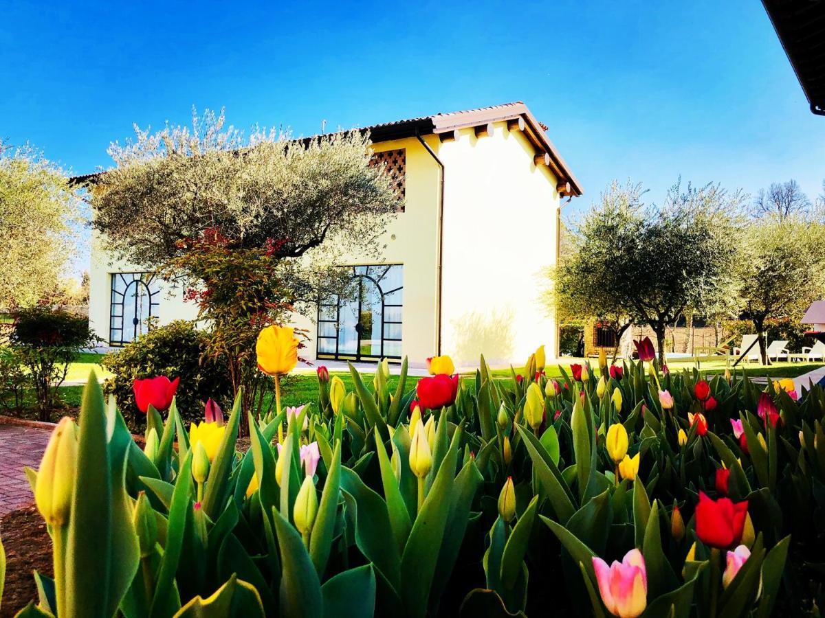 Agriturismo Bitturelli Ponti sul Mincio Kültér fotó